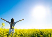 קורס פסיכותרפיה הוליסטית