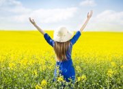 קורס שיטת האיזון